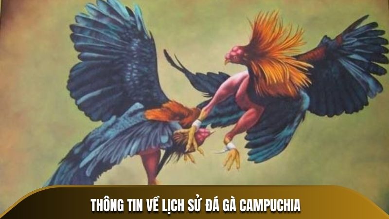 Thông tin về lịch sử đá gà Campuchia